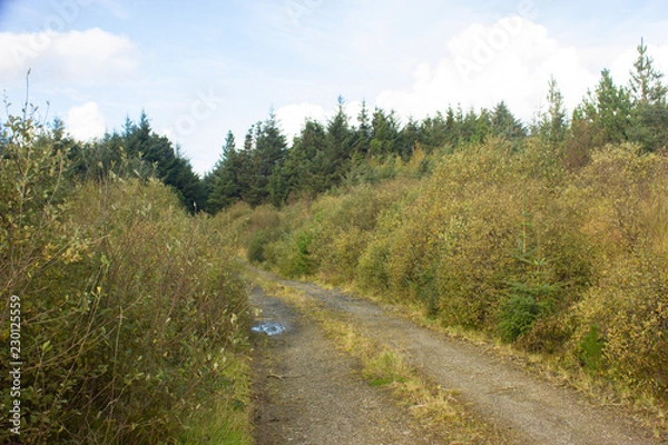 Fototapeta mountain nature landscape