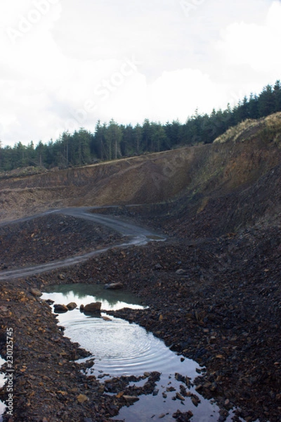 Fototapeta big pit in the forest for the extraction of ore
