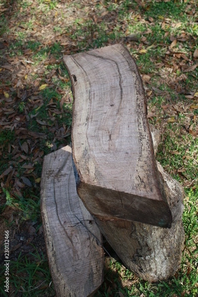 Obraz log bench, stumps, logs, leftover's form hericane Irma, backyard art, chainsawed bench, oak