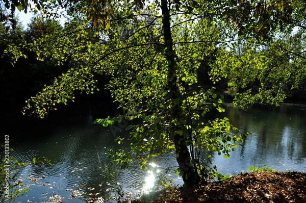 Obraz Bords du Loing 3