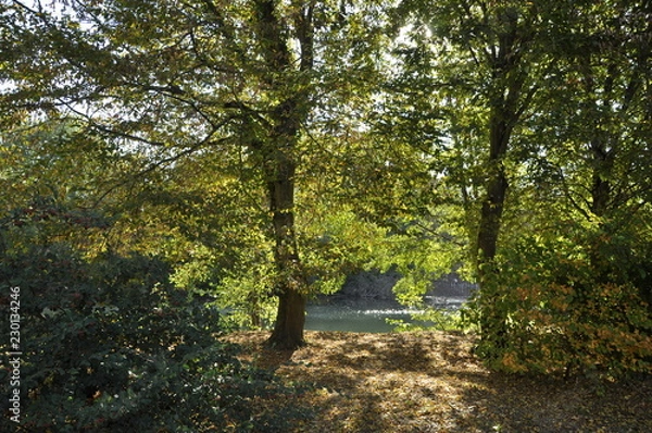 Obraz Bords du Loing