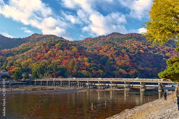 Obraz 嵐山　(紅葉　11月　秋)
