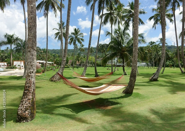 Obraz Two hammocks between palm trees on a tropical resort