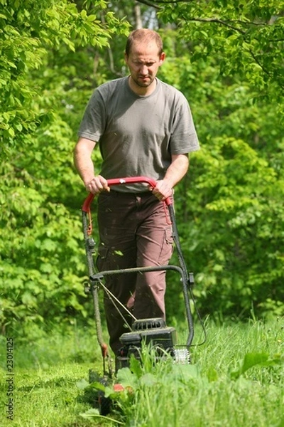 Obraz Mower