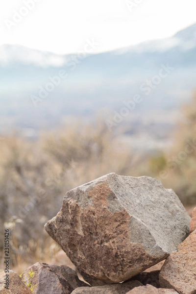 Obraz Desert Rocks Nevada