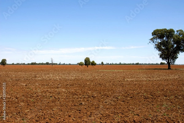 Fototapeta Ploughed Field