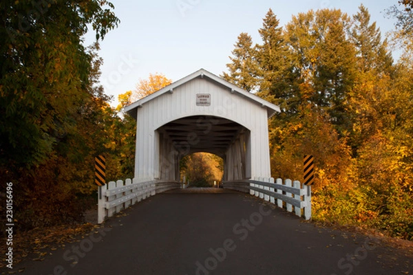 Fototapeta Distant center front perspective of Larwood covered bridge with fall color trees in a rural area in Oregon.