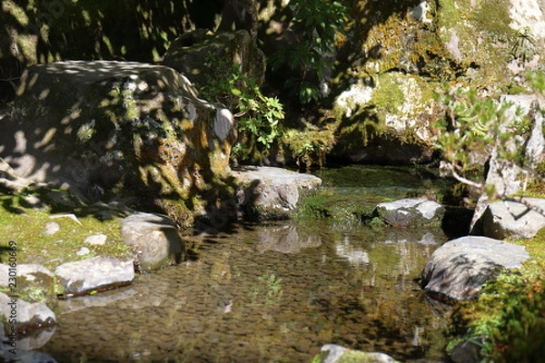 Obraz 日本庭園の家