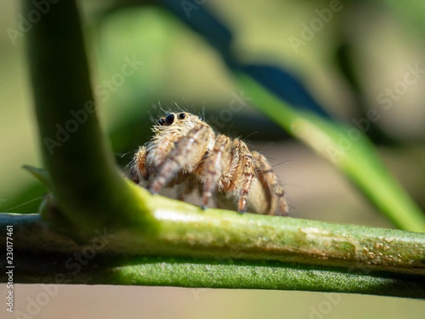 Fototapeta OLYMPUS DIGITAL CAMERA
