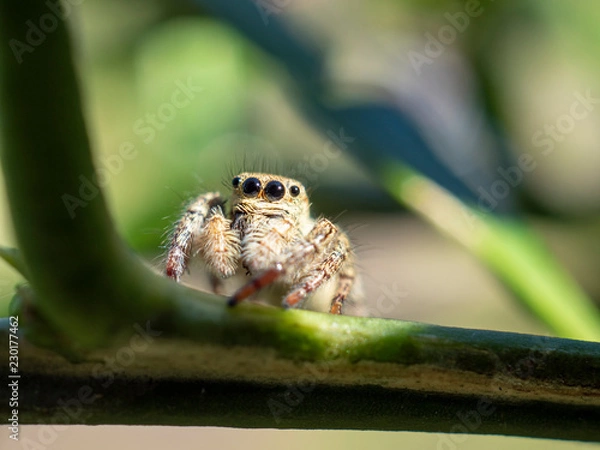 Fototapeta OLYMPUS DIGITAL CAMERA