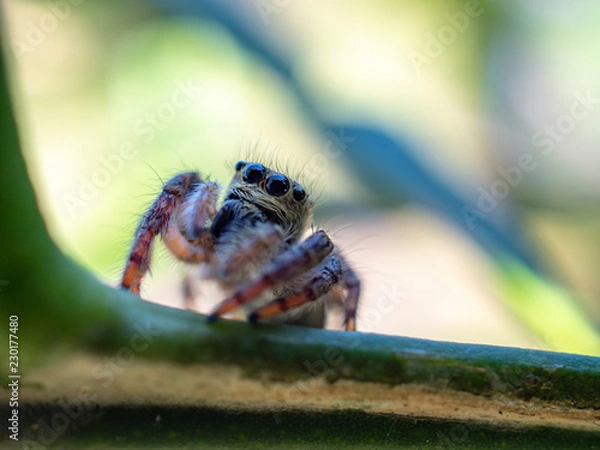 Fototapeta OLYMPUS DIGITAL CAMERA