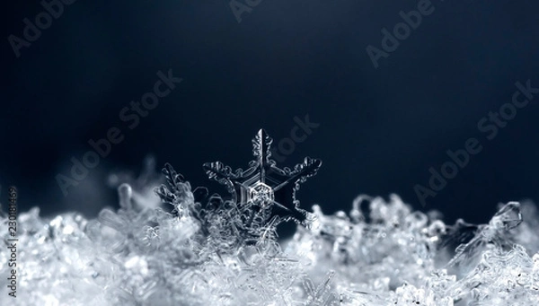 Fototapeta snowflake in the snow, winter
