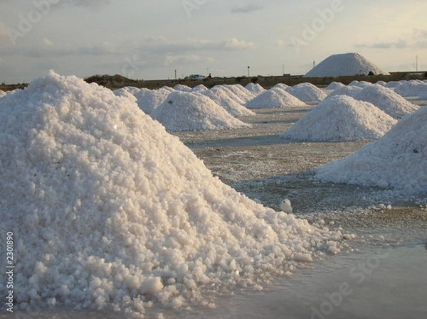 Obraz saline