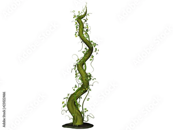Obraz Beanstalk