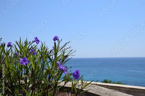 Fototapeta paesaggio