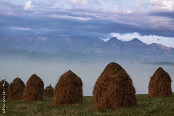 Obraz Kopy siana Pieniny