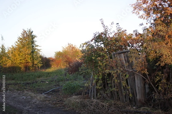 Fototapeta пейзаж