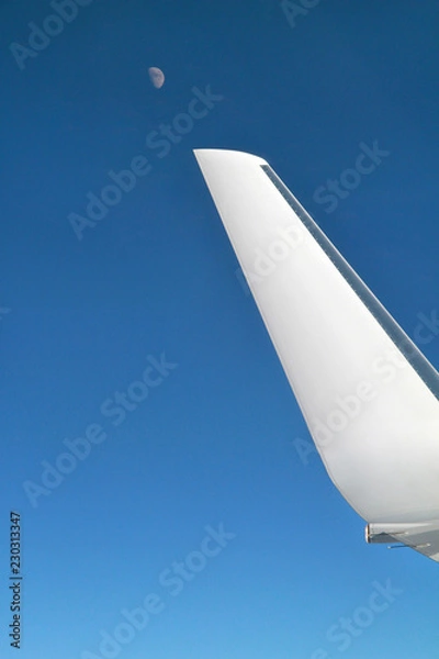 Fototapeta Airplane Wing and The Moon