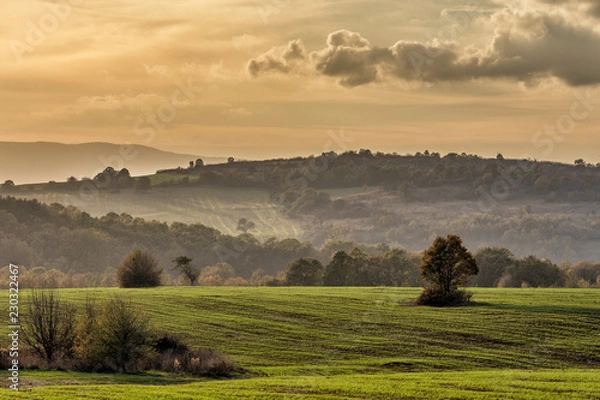 Obraz sunset over the field
