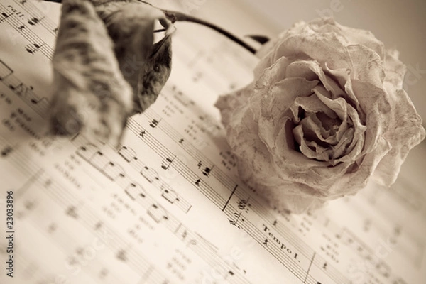 Obraz сухая роза и ноты