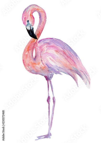 Fototapeta Akwarela flamingo. Malowany obraz.