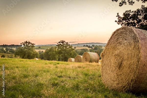 Obraz bottes de paille