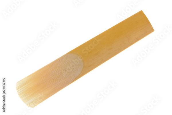 Obraz Stroik na klarnet