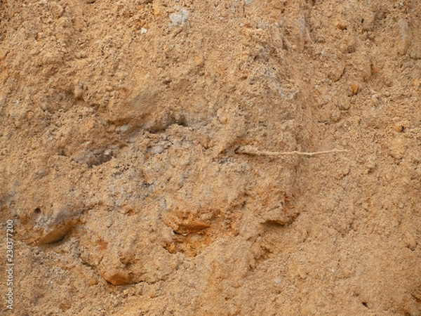 Obraz OLYMPUS DIGITAL CAMERA