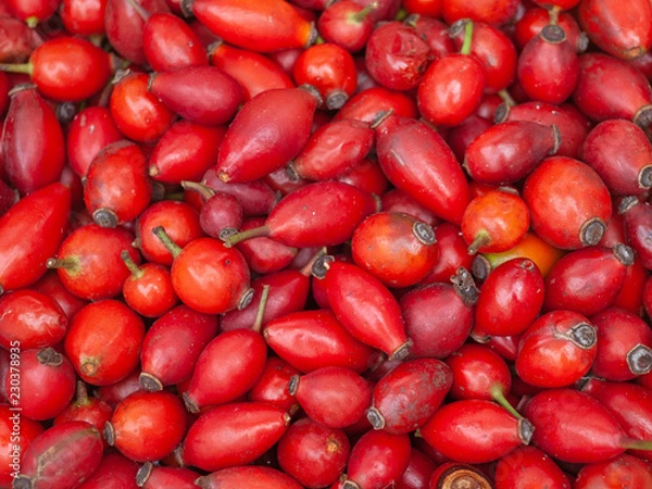 Obraz pomegranate hip