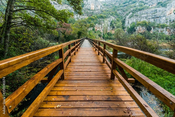 Obraz Drewniany most w Krka parku narodowym, Chorwacja