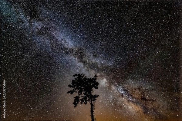 Obraz milky3