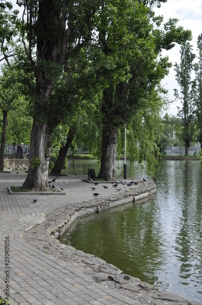 Obraz A park