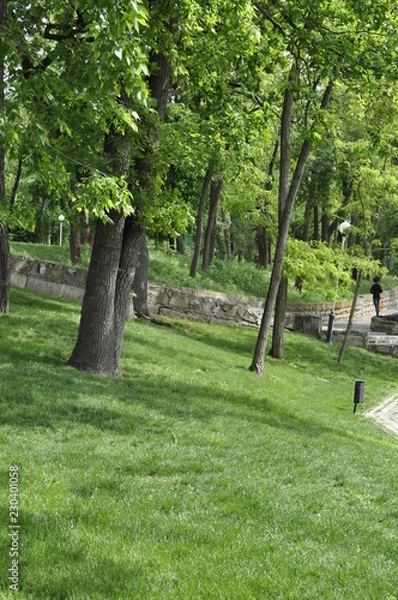 Obraz A park