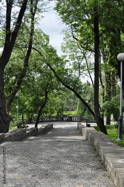 Obraz A park