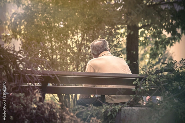 Fototapeta senior man alone on bench, back view of lonely old man in a park