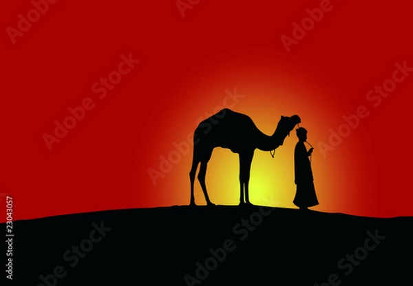 Obraz camel nomade