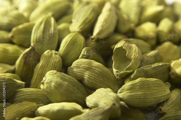Obraz grain of cardamom macro