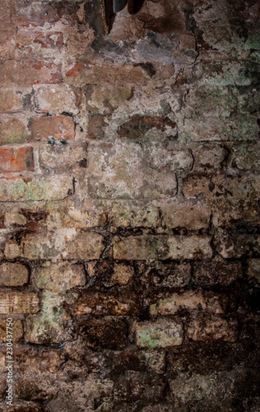 Fototapeta Old Horror Bricks Wall Texture Background