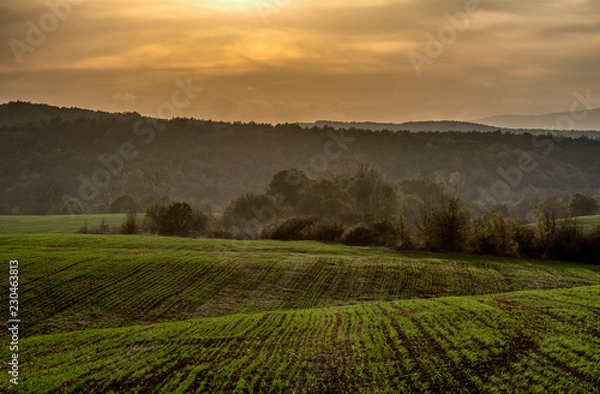 Obraz sunset over green field