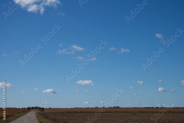 Obraz road under blue sky