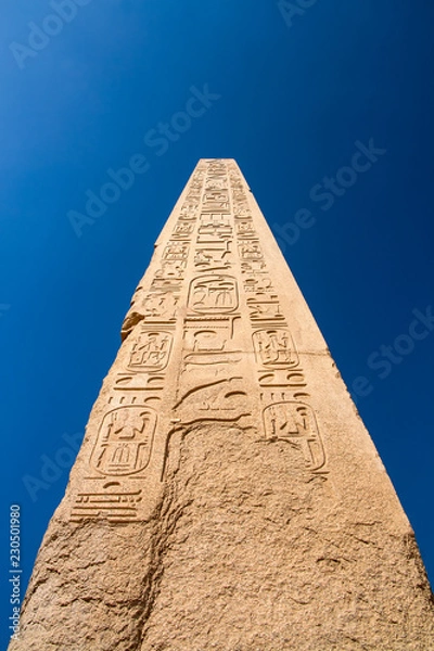 Obraz obelisk in luxor egypt