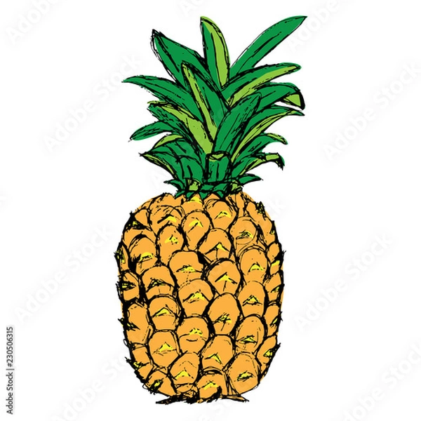 Obraz Pineapple. Exotic tropical fruit. Sketch.