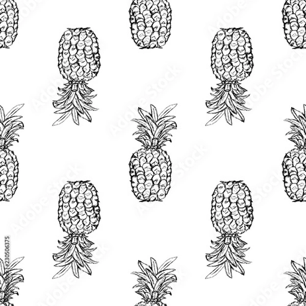 Obraz Pineapple. Exotic tropical fruit. Sketch. Pattern