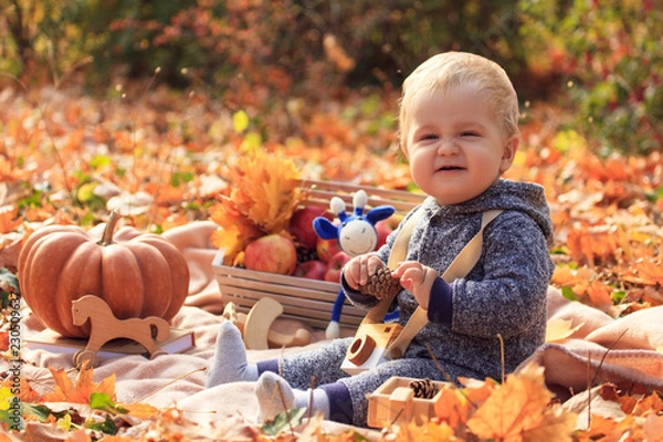 Fototapeta Family picnic in the autumn in the forest. Portrait of a small child, a white-haired boy among yellow foliage, laughs and holds a cone in his hands, plays wooden toys, next to a pumpkin 