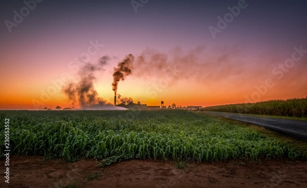 Obraz Bingera Sugar Mill Sunrise