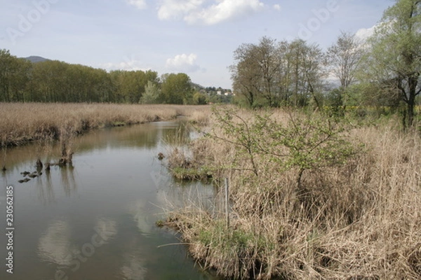 Obraz riflessi di malinconia