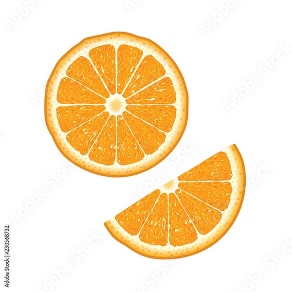 Fototapeta Orange isolated and half cut orange. Vector