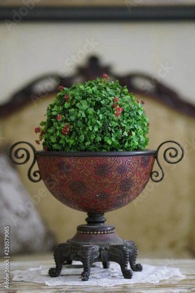 Obraz A Plant Trophy