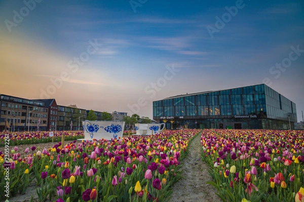 Obraz Beautiful Delft Train Station with amazing tulips in the spring.  The flowers can be picked at the end of the season.