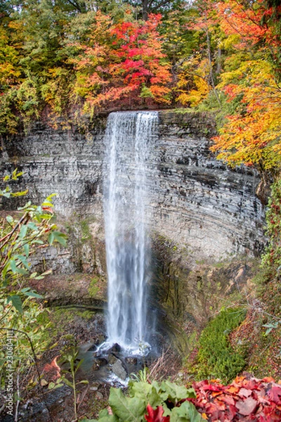 Obraz Beautiful Tews Falls